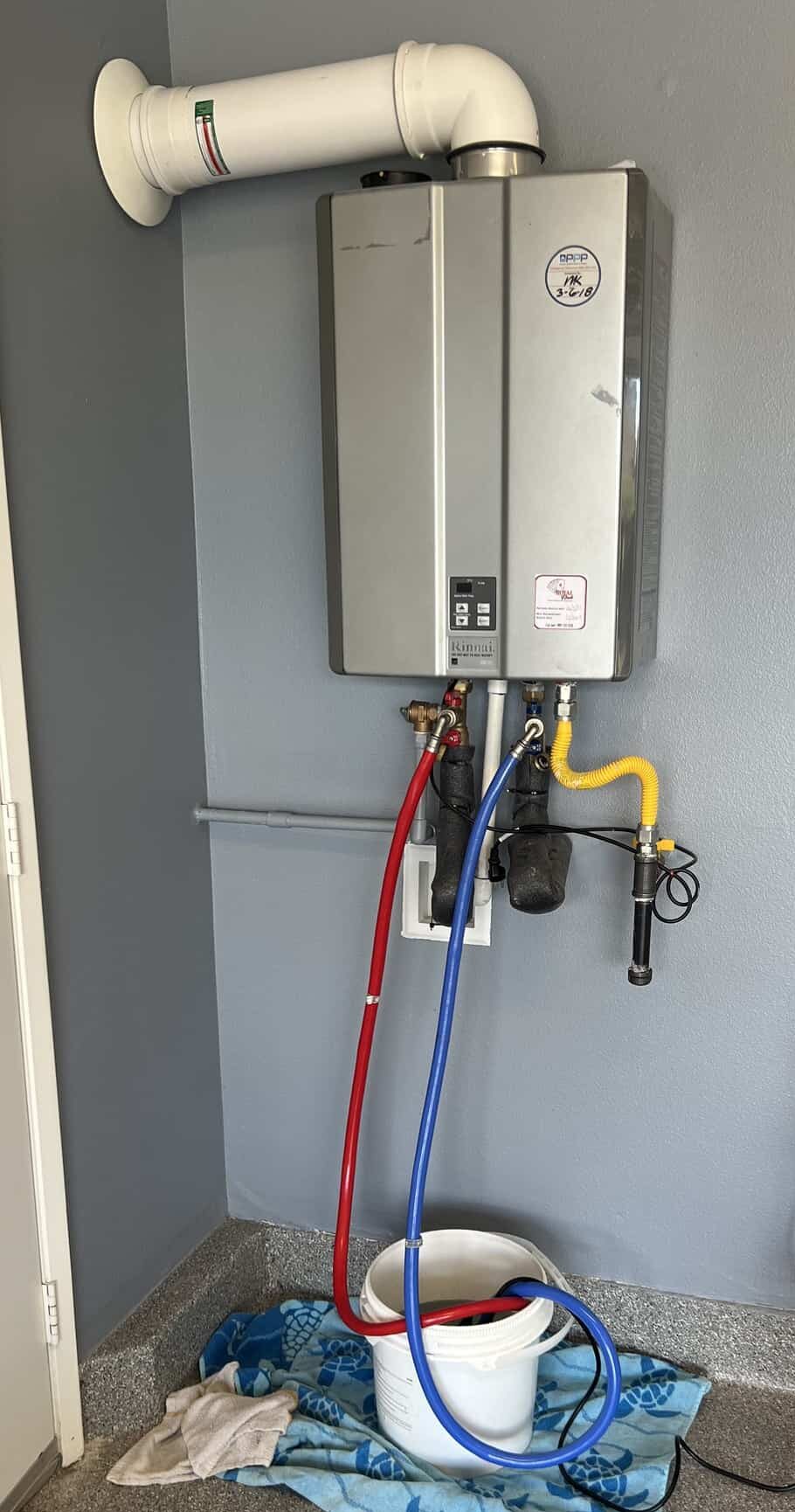 Tankless water heater flushing